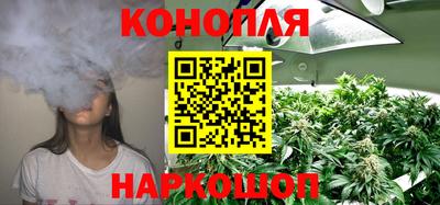 гашик Гусь-Хрустальный