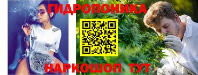гашик Гусь-Хрустальный