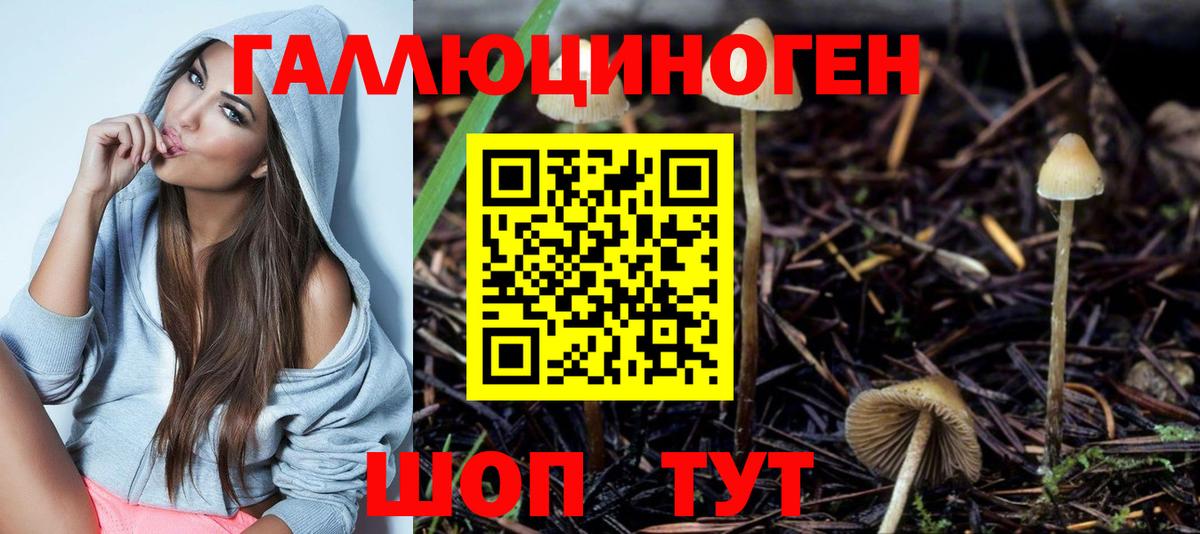 Псилоцибиновые грибы ЛСД Новотроицк
