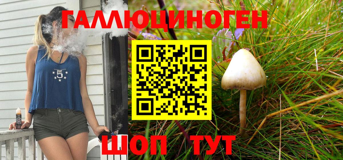 Галлюциногенные грибы Psilocybine cubensis  купить   Галлюциногенные грибы GOLDEN TEACHER  Новотроицк  Вход с VPN 